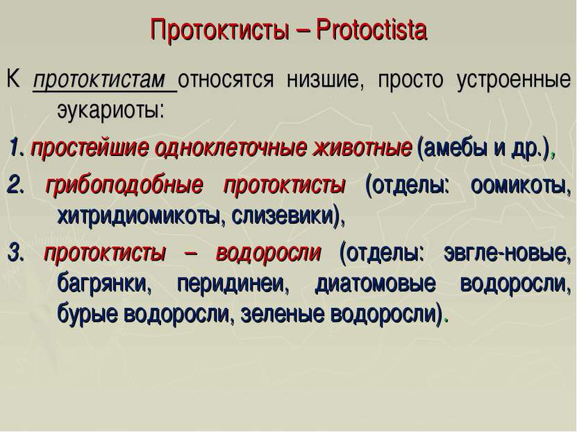 Протоктисты – Protoctista К протоктистам относятся низшие, просто устроенные ...