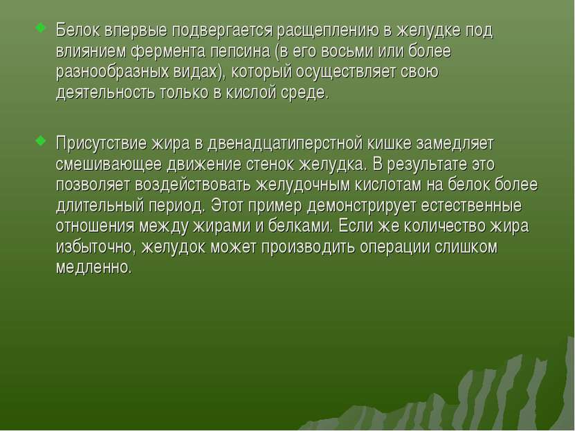 Белок впервые подвергается расщеплению в желудке под влиянием фермента пепсин...