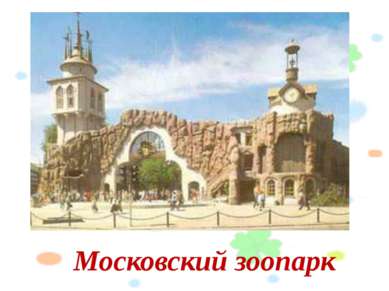 Московский зоопарк Слайд №8