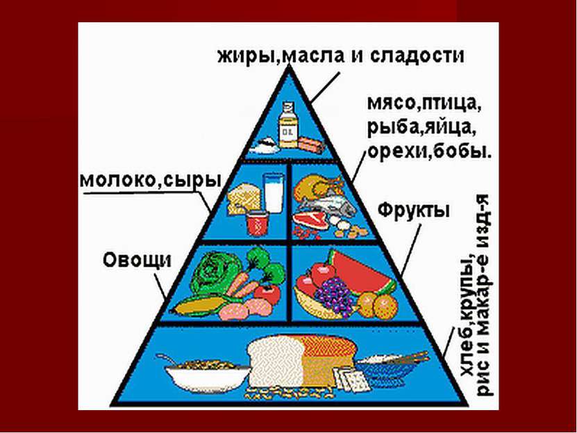 Пирамида питания.