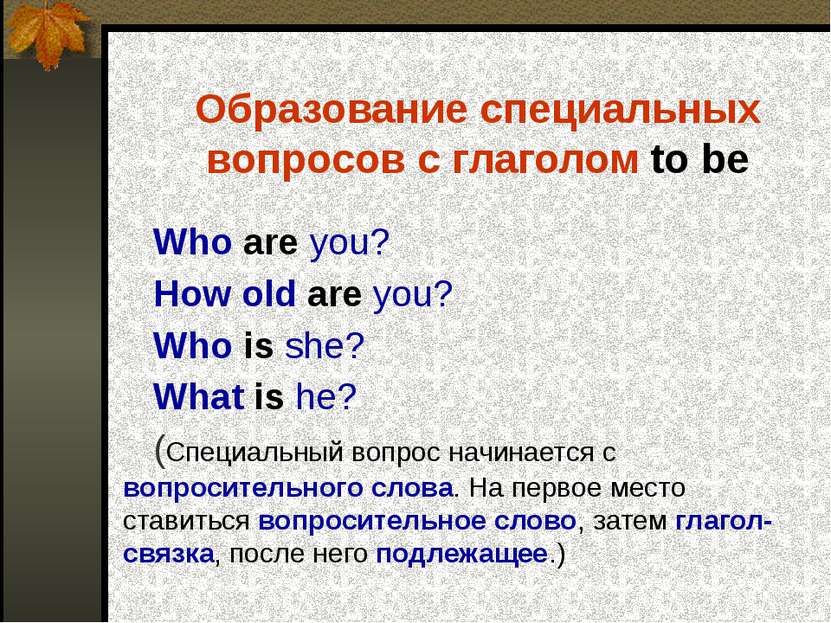 Образование специальных вопросов с глаголом to be Who are you? How old are yo...