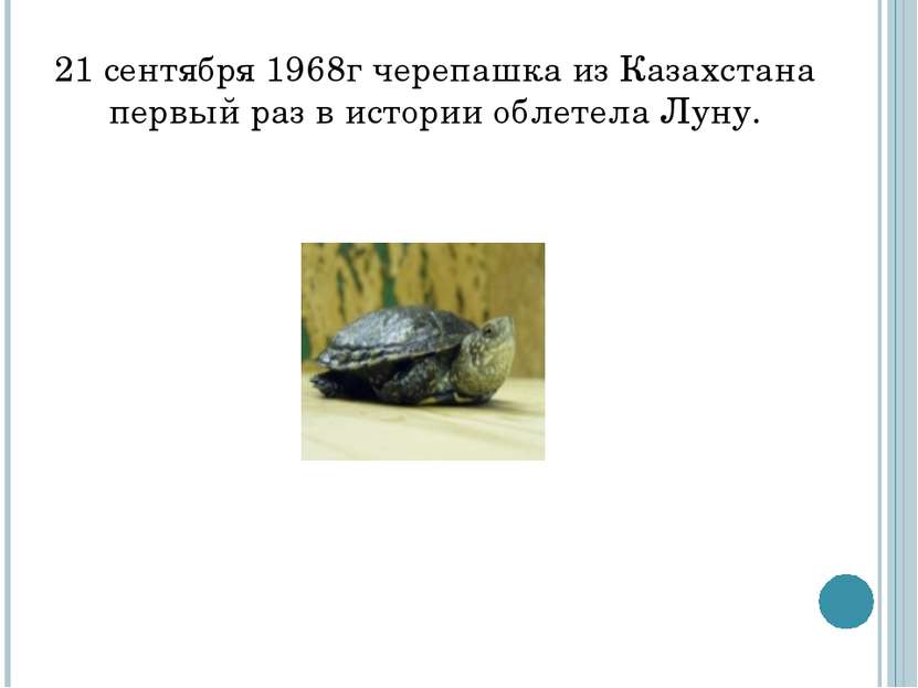 21 сентября 1968г черепашка из Казахстана первый раз в истории облетела Луну.