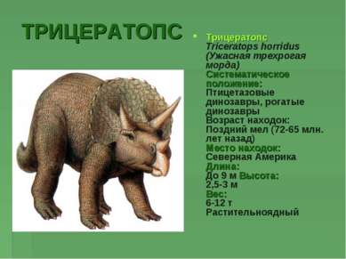 ТРИЦЕРАТОПС Трицератопс Triceratops horridus (Ужасная трехрогая морда) Систем...
