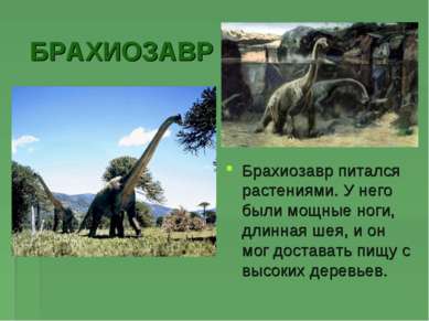 БРАХИОЗАВР Брахиозавр питался растениями. У него были мощные ноги, длинная ше...