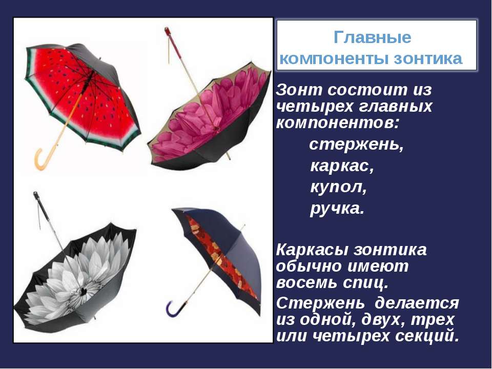 Состоит из четырех основных. Части зонтика. Из чего состоит зонтик. Названия частей зонтика. Строение зонтика.