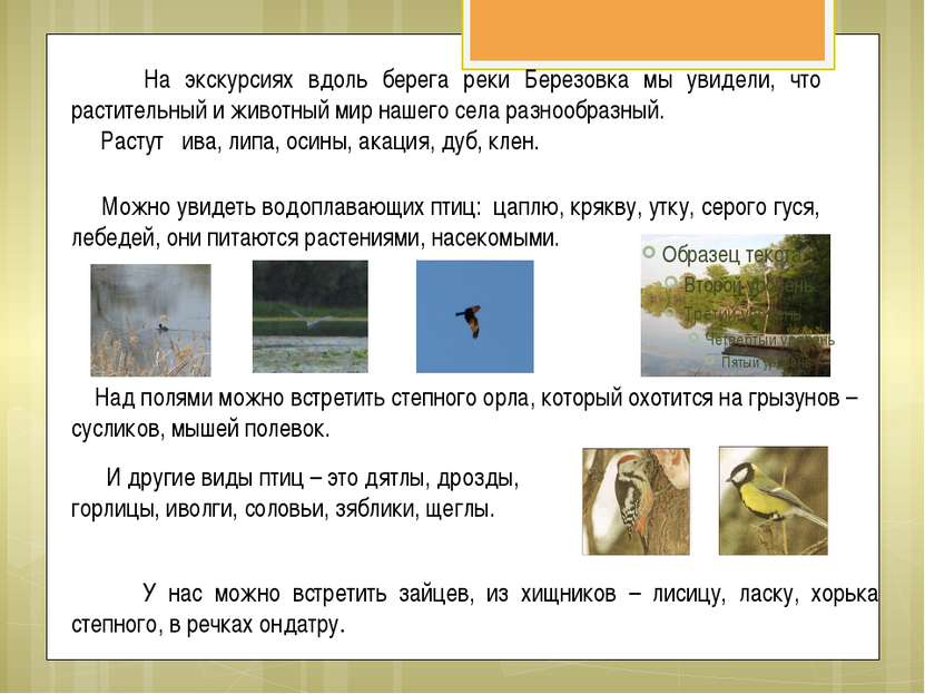 На экскурсиях вдоль берега реки Березовка мы увидели, что растительный и живо...