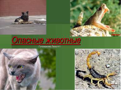 Опасные животные Голованова Лиза 4-1