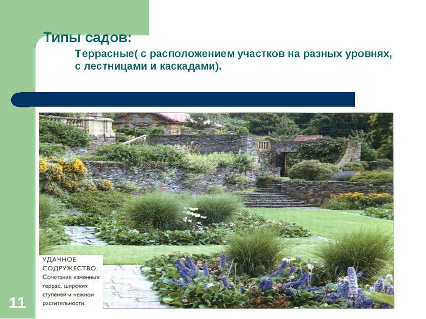 * * Типы садов: террасные( с расположением участков на разных уровнях, с лест...