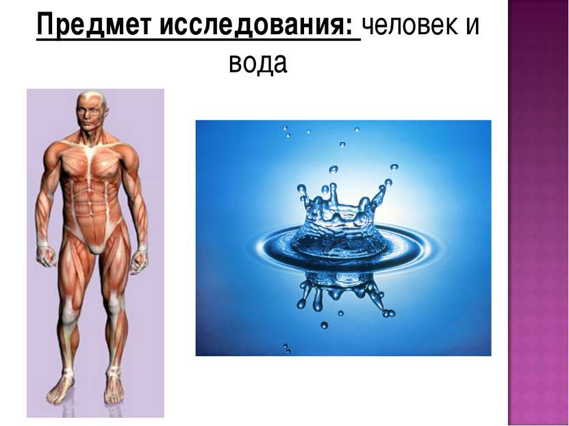 Предмет исследования: человек и вода
