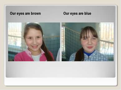 Our eyes are brown Our eyes are blue