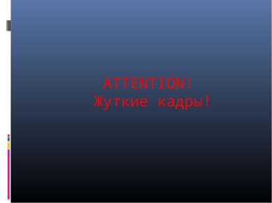 ATTENTION! Жуткие кадры!