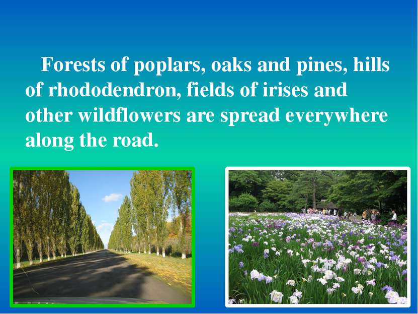 Forests of poplars, oaks and pines, hills of rhododendron, fields of irises a...
