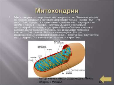Митохондрии  — энергетические центры клетки. Это очень мелкие, но хорошо види...