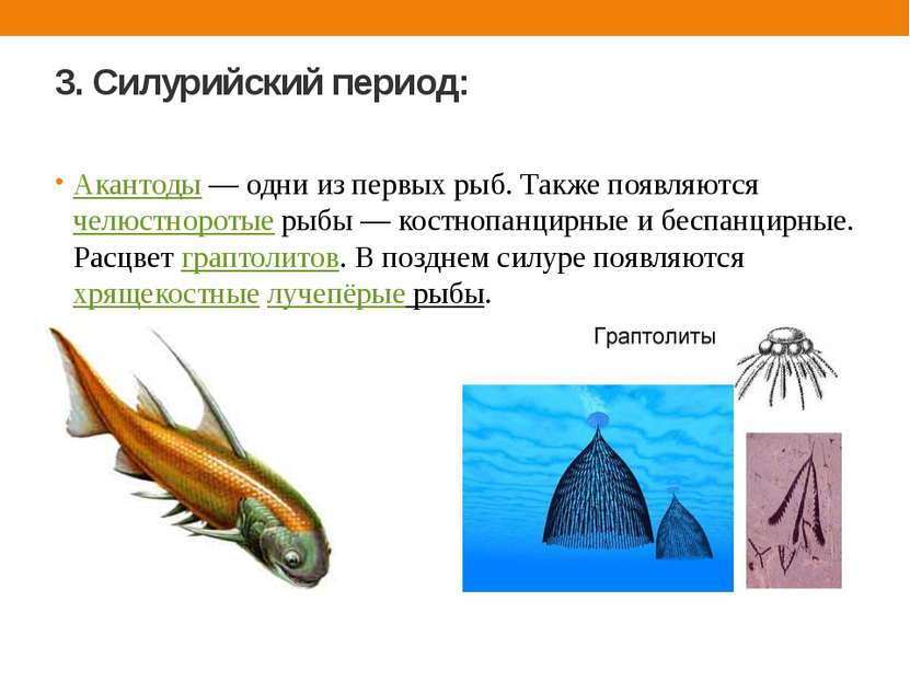 3. Силурийский период: Акантоды — одни из первых рыб. Также появляются челюст...