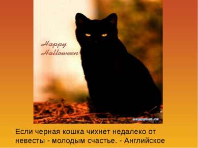 Если черная кошка чихнет недалеко от невесты - молодым счастье. - Английское ...