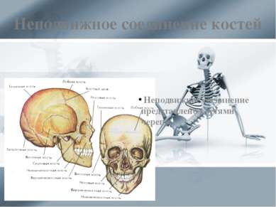Неподвижное соединение костей Неподвижное соединение представлено костями чер...
