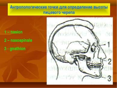 Антропологические точки для определение высоты лицевого черепа 1 – nasion 2 –...