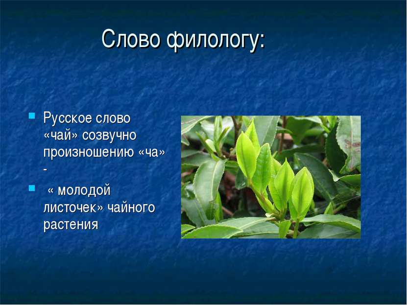 Слово филологу: Русское слово «чай» созвучно произношению «ча» - « молодой ли...