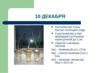 10 ДЕКАБРЯ Растение №3 очень быстро поглощает воду У растений №2 и №3 формиру...