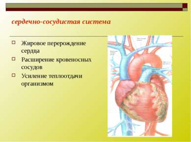 сердечно-сосудистая система Жировое перерождение сердца Расширение кровеносны...