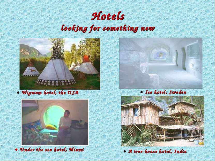 Hotels looking for something new ● A tree-house hotel, India ● Ice hotel, Swe...