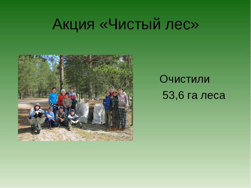 Акция «Чистый лес» Очистили 53,6 га леса