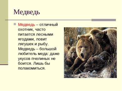 Медведь Медведь – отличный охотник, часто питается лесными ягодами, ловит ляг...