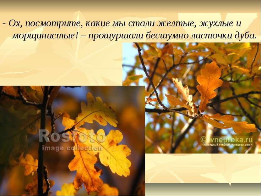 Разговор листьев. Стих про лист дуба. Стихи про листья дуба осенью. Стихотворение про осенний дуб. Стих про осенний дубовый лист.