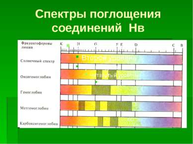 Спектры поглощения соединений Нв