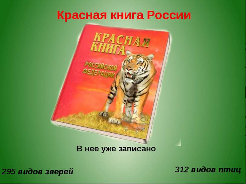 Красная книга России В нее уже записано 295 видов зверей 312 видов птиц