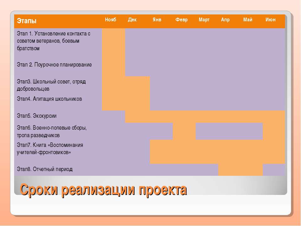 Руководство определило жесткие сроки для реализации проекта