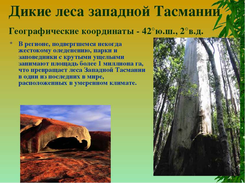 Дикие леса западной Тасмании Географические координаты - 42°ю.ш., 2°в.д. В ре...
