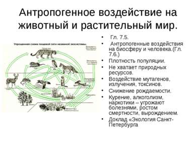 Антропогенное воздействие на животный и растительный мир. Гл. 7.5. Антропоген...
