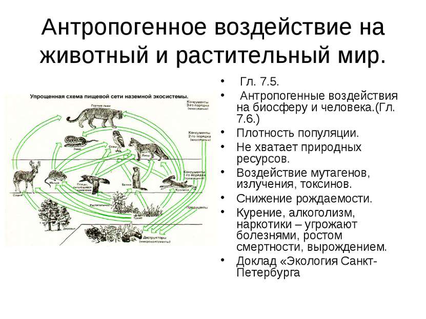 Антропогенное воздействие на животный и растительный мир. Гл. 7.5. Антропоген...