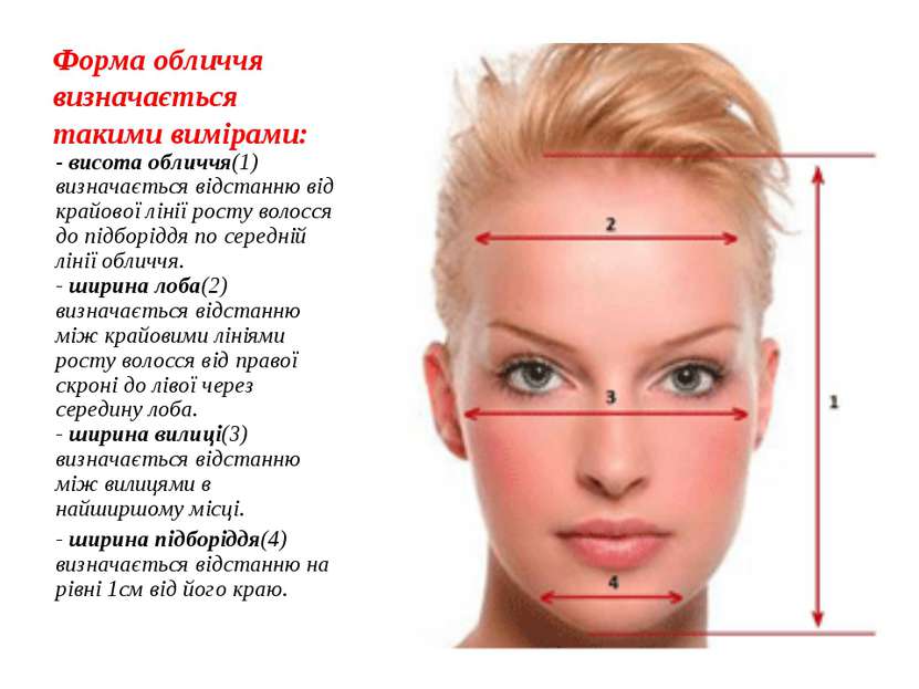 Форма обличчя визначається такими вимірами: - висота обличчя(1) визначається ...