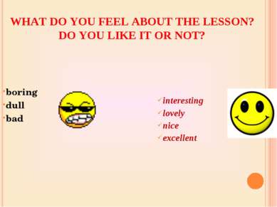 WHAT DO YOU FEEL ABOUT THE LESSON? DO YOU LIKE IT OR NOT? boring dull bad int...
