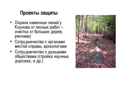 Проекты защиты Охрана каменных линий у Коунова от лесных работ – очистка от б...