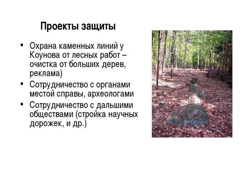 Проекты защиты Охрана каменных линий у Коунова от лесных работ – очистка от б...