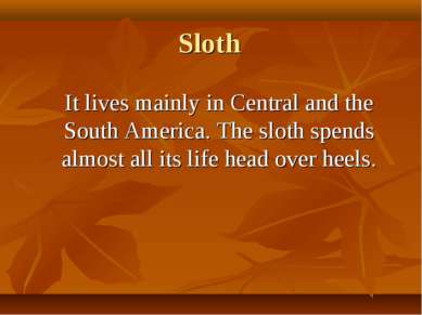 Sloth It lives mainly in Central and the South America. The sloth spends almo...