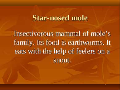 Star-nosed mole Insectivorous mammal of mole’s family. Its food is earthworms...