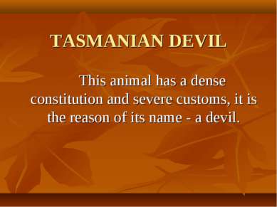 TASMANIAN DEVIL This animal has a dense constitution and severe customs, it i...