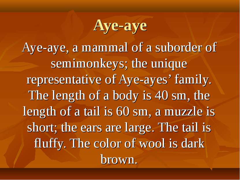 Aye-aye Aye-aye, a mammal of a suborder of semimonkeys; the unique representa...