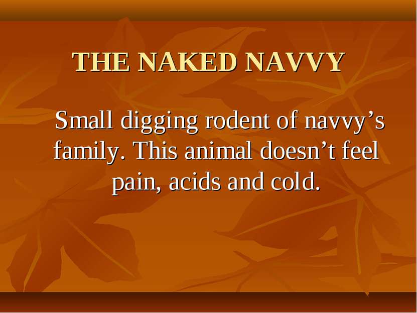 THE NAKED NAVVY Small digging rodent of navvy’s family. This animal doesn’t f...