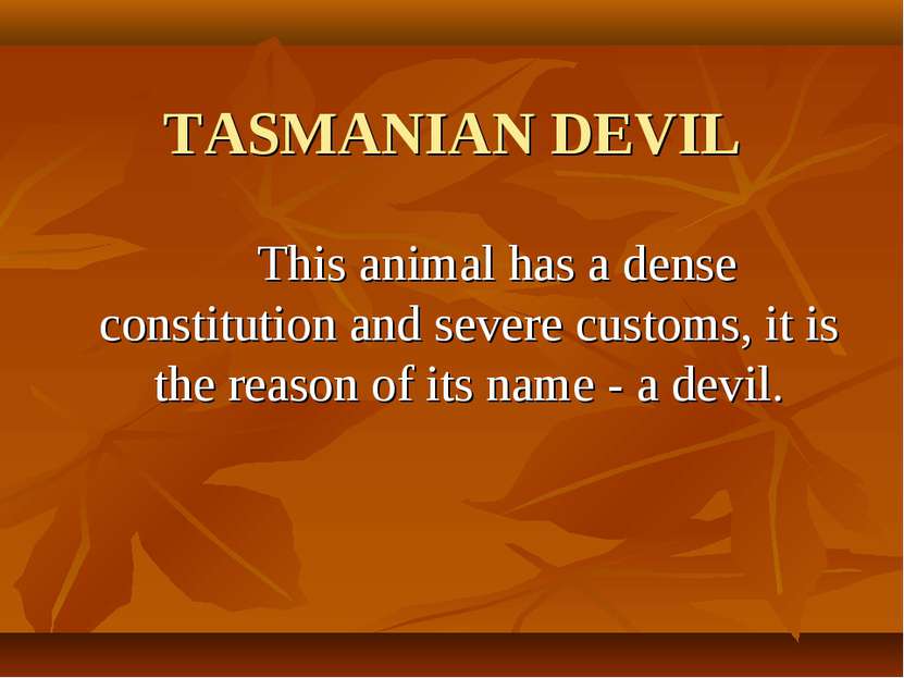 TASMANIAN DEVIL This animal has a dense constitution and severe customs, it i...