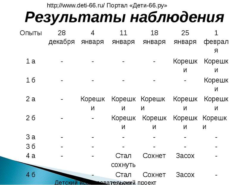 Результаты наблюдения Детский исследовательский проект http;//www.deti-66.ru/...