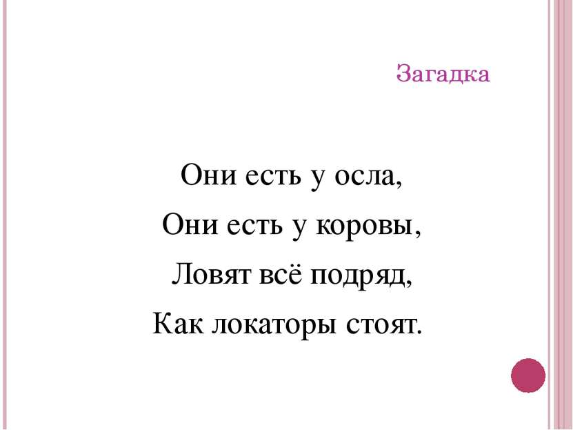 Загадка Они есть у осла, Они есть у коровы, Ловят всё подряд, Как локаторы ст...