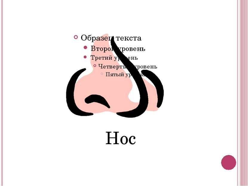 Нос