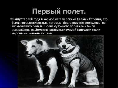 Первый полет. 20 августа 1960 года в космос летали собаки Белка и Стрелка, эт...
