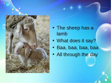 The sheep has a lamb What does it say? Baa, baa, baa, baa All through the day
