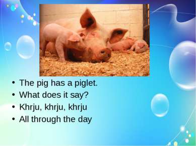 The pig has a piglet. What does it say? Khrju, khrju, khrju All through the day